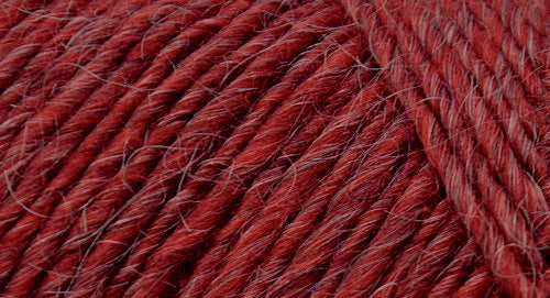 Brown Sheep Lamb's Pride yarn — 181