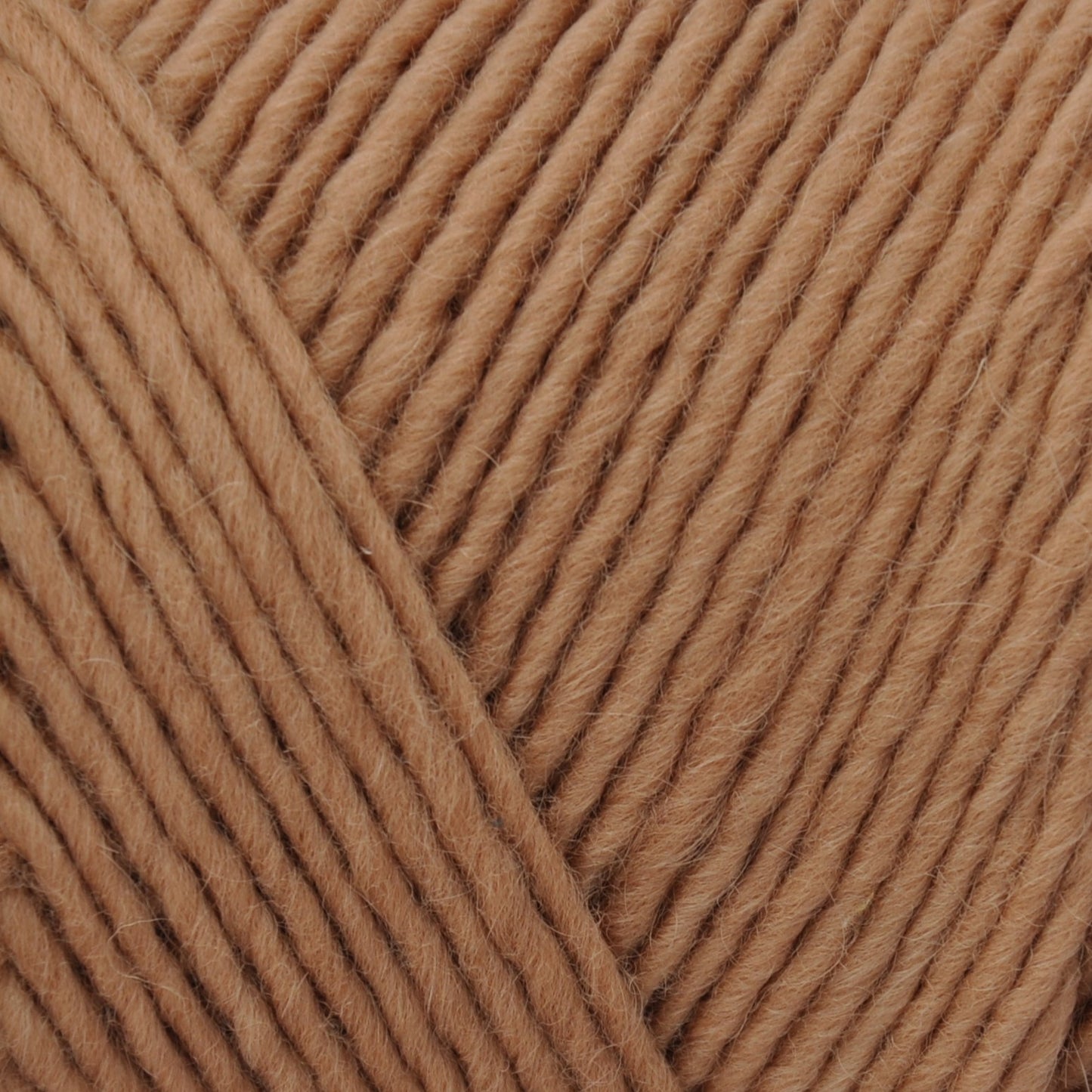 Brown Sheep Lamb's Pride yarn — 203