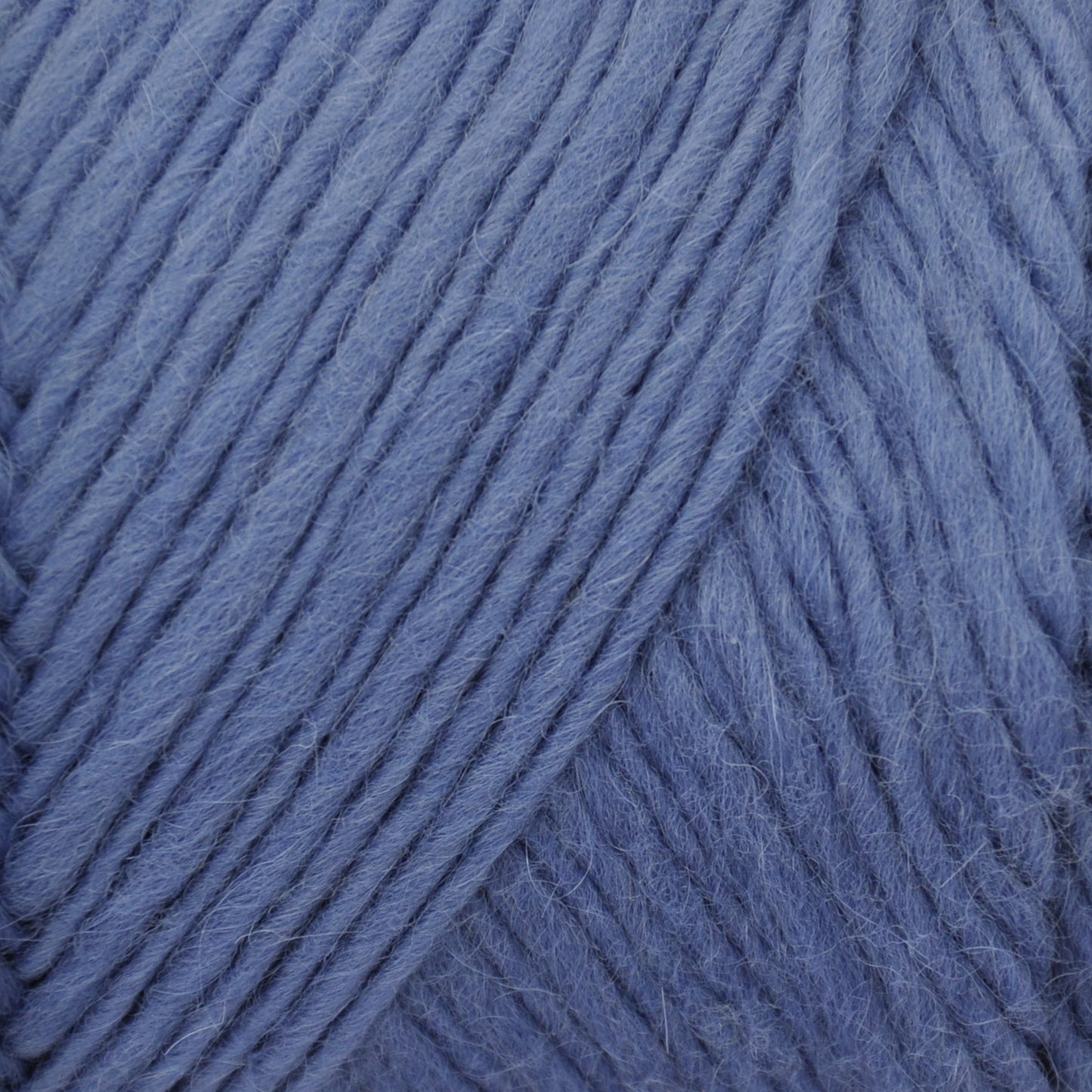 Brown Sheep Lamb's Pride yarn — 213