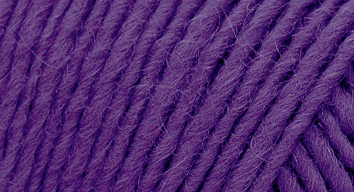 Brown Sheep Lamb's Pride yarn — 62