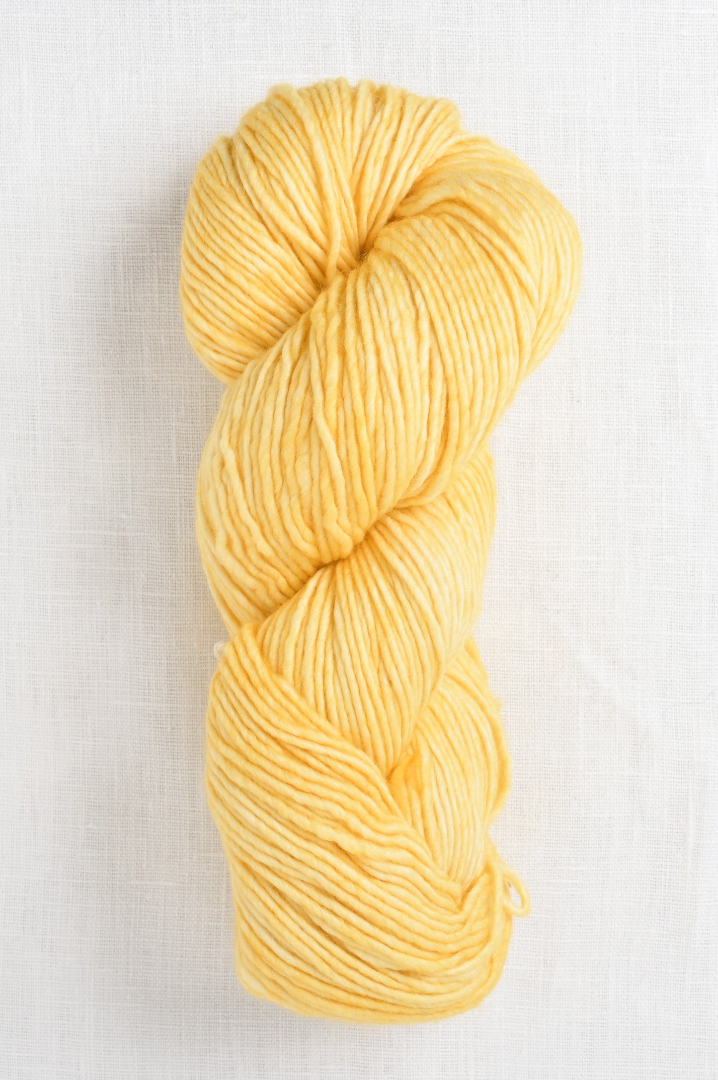 Worsted 19 pollen skein