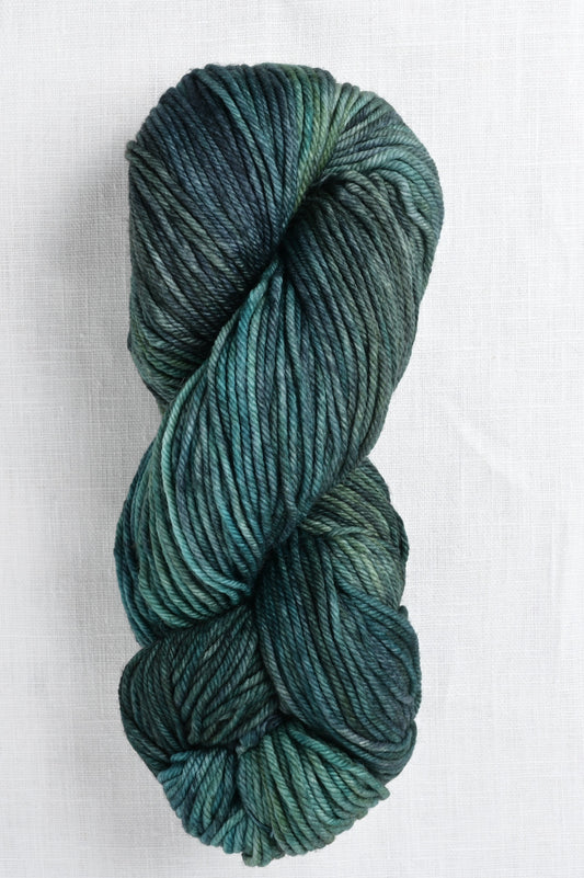 Malabrigo Rios 855 Aguas skein