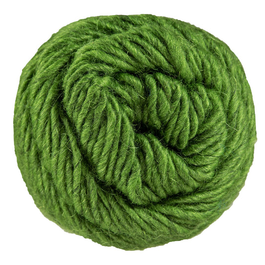 Brown Sheep Lambs Pride Worsted M191 Kiwi