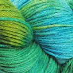 Plymouth Yarn 13 skein