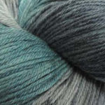 Plymouth Yarn 14 skein