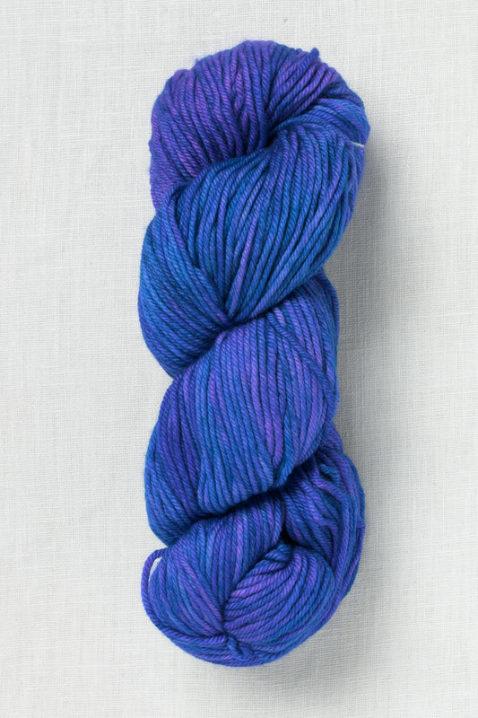 Malabrigo Rios 282 Leo skein