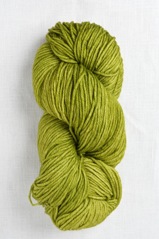 Malabrigo Rios 37 Lettuce skein