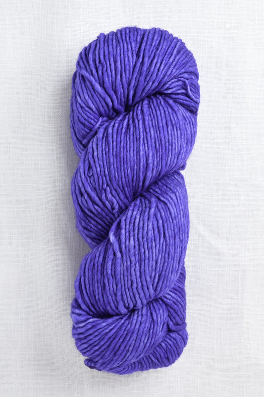 Worsted 193 jacinto skein