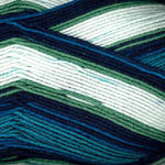 Plymouth Yarn 4 skein