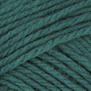 Brown Sheep Nature Spun Sport N25 Enchanted Forest