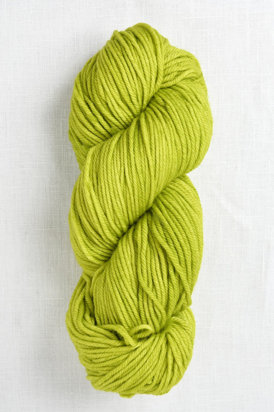 Malabrigo Rios 11 Apple Green skein