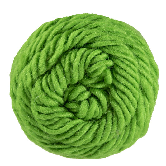 Brown Sheep Lambs Pride Worsted M120 Limeade