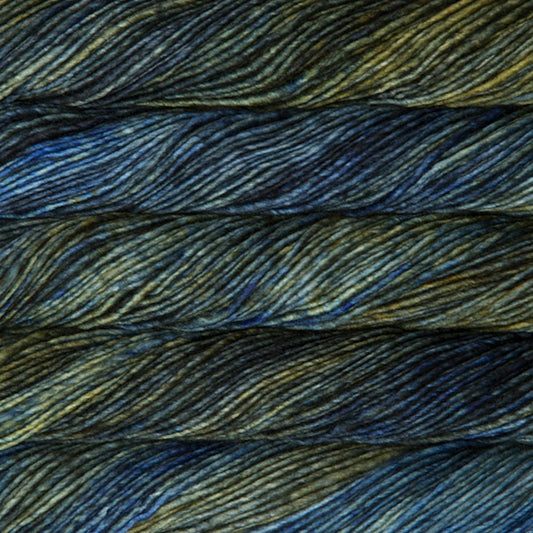 Malabrigo Mecha yarn — 879 Chuy