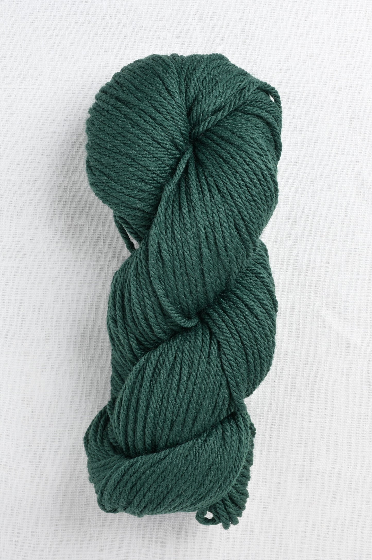 Berroco Vintage Chunky 6152 Mistletoe skein