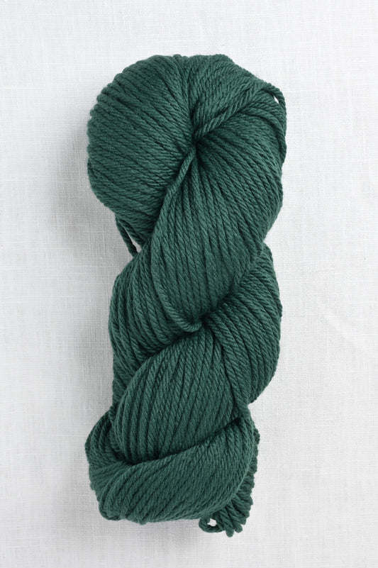 Berroco Vintage Chunky 6152 Mistletoe skein