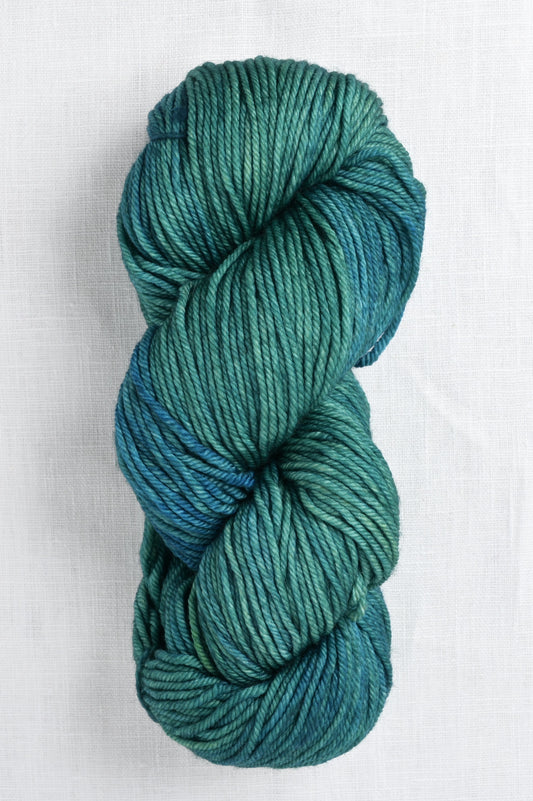 Malabrigo Rios 809 Solis skein