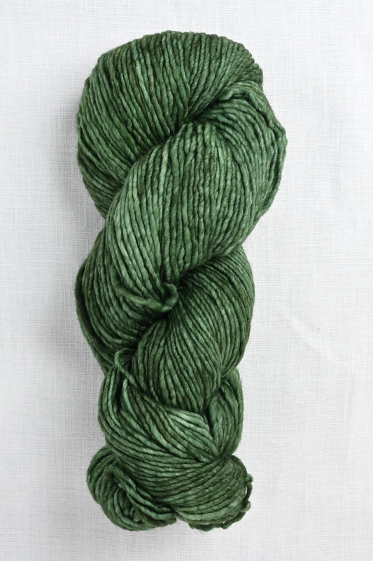 Worsted 117 verde-adriana skein