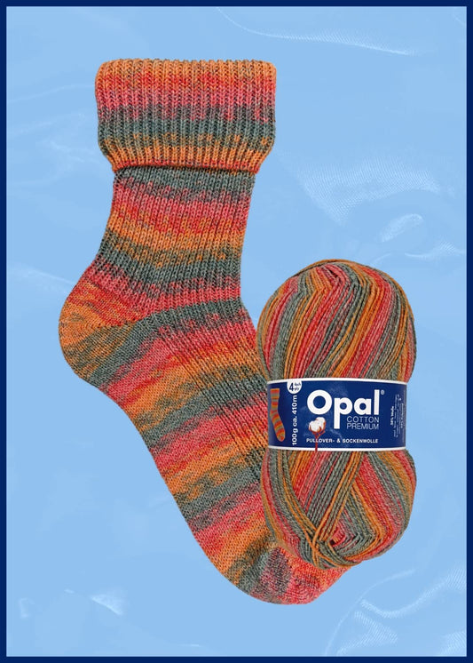 Opal Cotton Premium 9840 Sock Yarn