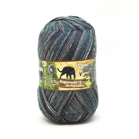 Opal 6ply Sock Yarn Rainforest #11213 Backpacker Rob