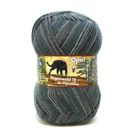 Opal Sock Yarn 11203 Backpacker Rob