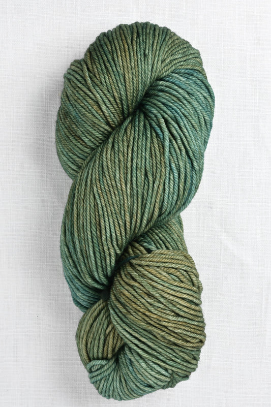 Malabrigo Rios 128 Fresco Y Seco skein