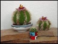 Felted Barrel Cactus Pattern FSP46 Fiber Space