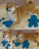 Buddy Bears and Bones Pattern FT231 Fiber Trends