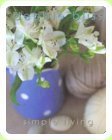 Simple Living [Paperback] Bliss, Debbie