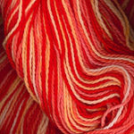 Plymouth Yarn Anne 9157 Sunset skein