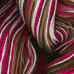 Plymouth Yarn 9306 skein