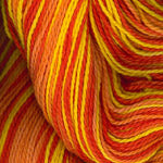 Plymouth Yarn 9619 skein