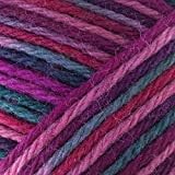Brown Sheep Wildfoote Luxury Sock Handpaint 150