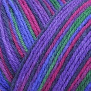 Brown Sheep Wildfoote Luxury Sock Handpaint 200 Rapsody