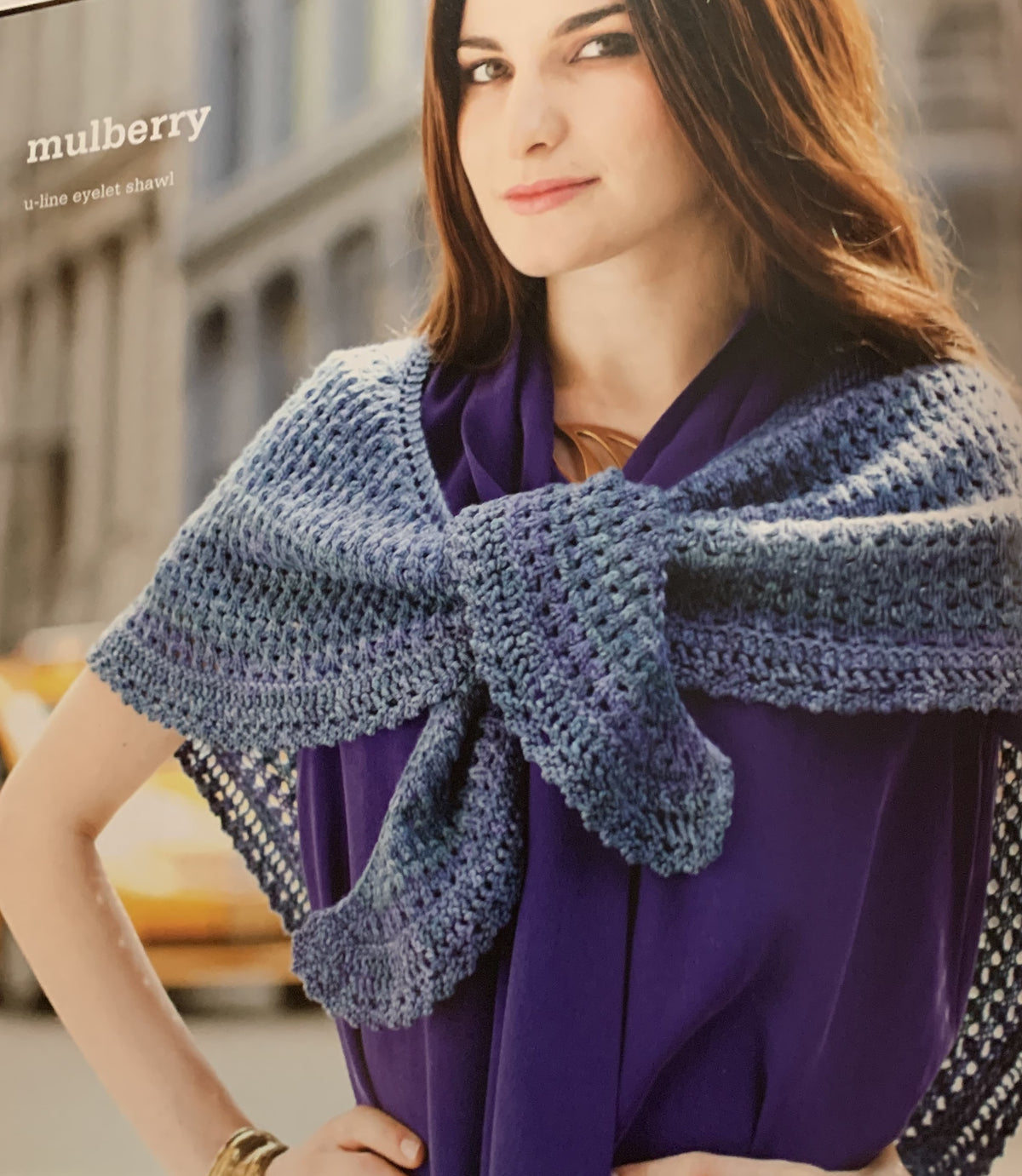 Malabrigo Book 5 in Soho by Malabrigo (2013-01-01) [Paperback] Malabrigo