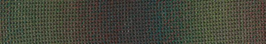 Painted Desert yarn — 12