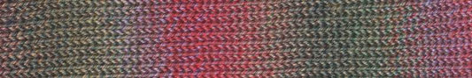 Painted Sky yarn — 208