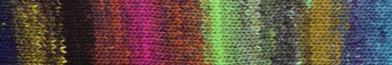 Noro Saiun wool blend yarn in colorway 4, Orora