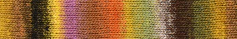 Noro Saiun yarn — 16