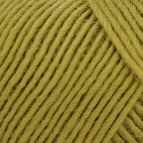 Brown Sheep Lamb's Pride Bulky 171 Fresh Moss