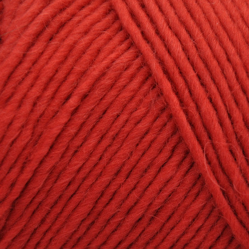 Brown Sheep Lamb's Pride Worsted M138 Cayenne