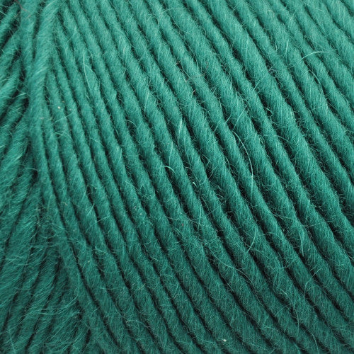Brown Sheep Lamb's Pride Worsted 165 Christmas Green