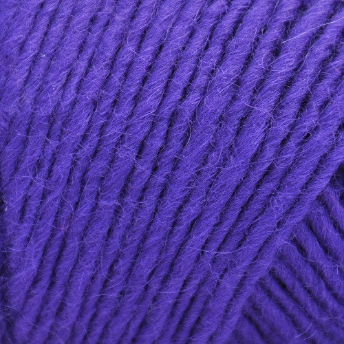 Brown Sheep Lamb's Pride Worsted 182 Regal Purple