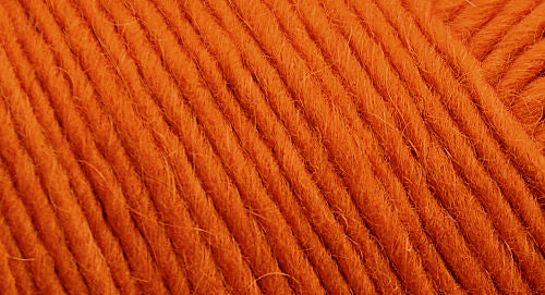Brown Sheep Lamb's Pride yarn — 110