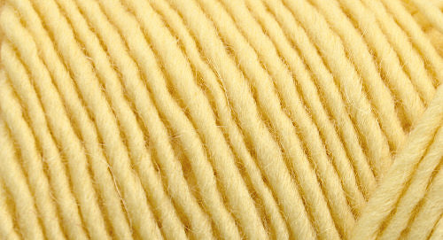 Brown Sheep Lamb's Pride yarn — 13
