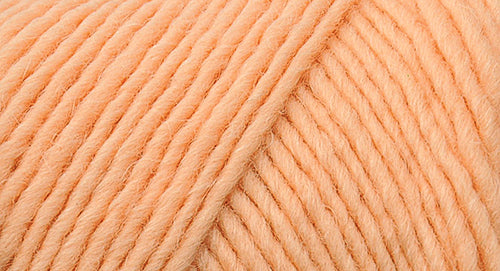 Brown Sheep Lamb's Pride yarn — 201