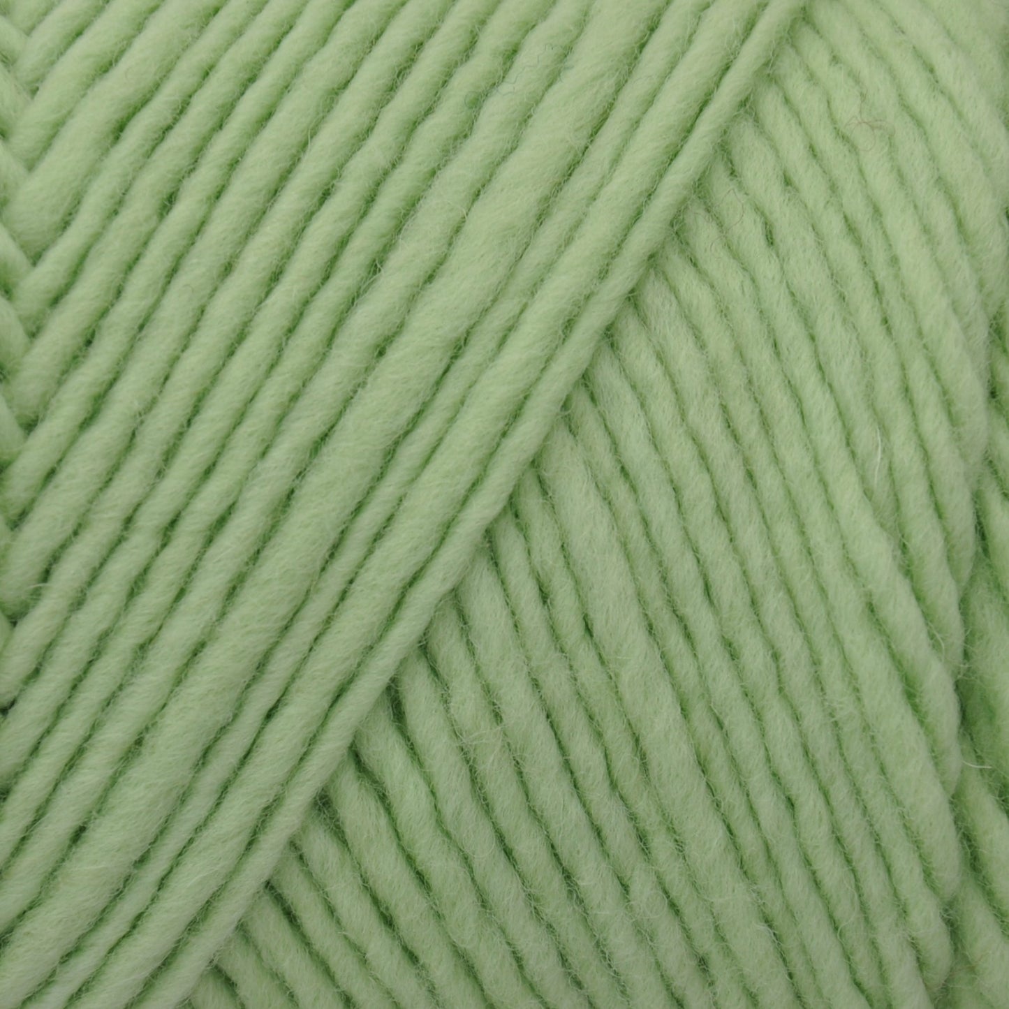 Brown Sheep Lamb's Pride yarn — 202