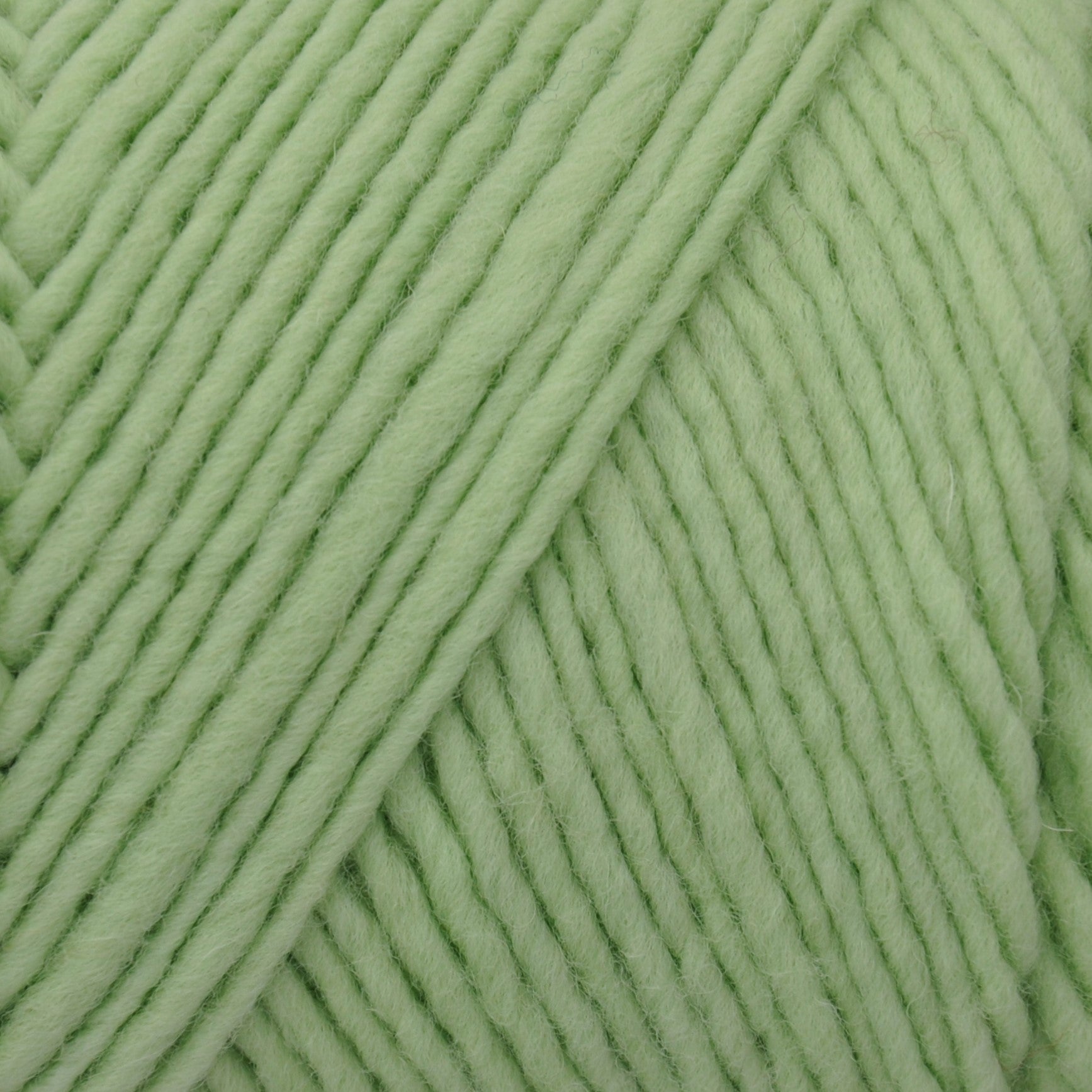 Brown Sheep Lamb's Pride yarn — 202