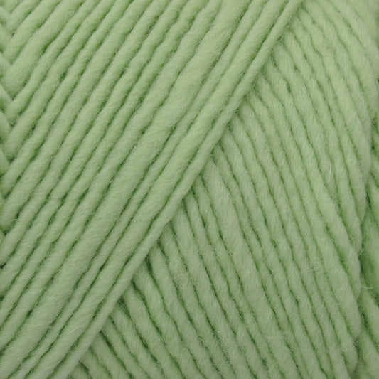 Brown Sheep Lamb's Pride yarn — 202