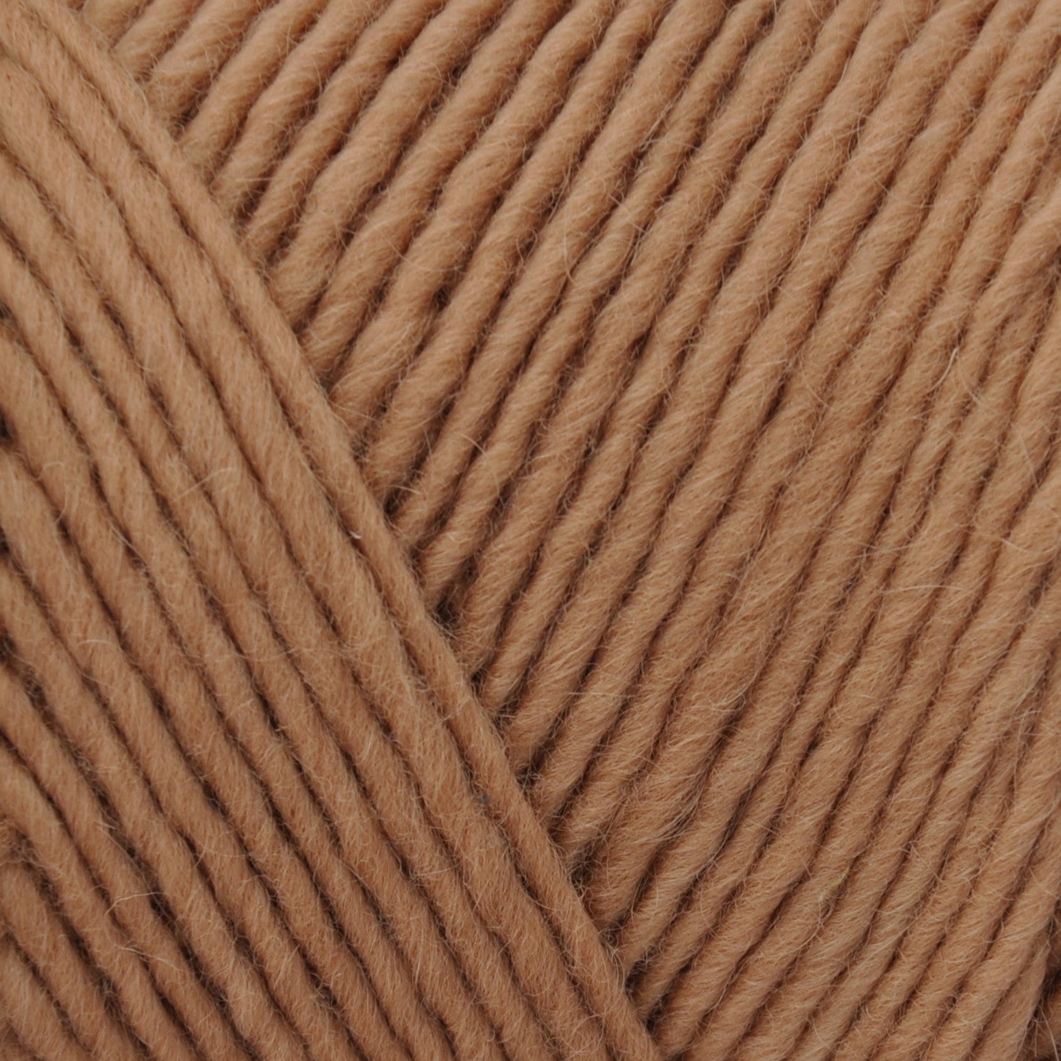 Brown Sheep Lamb's Pride yarn — 203