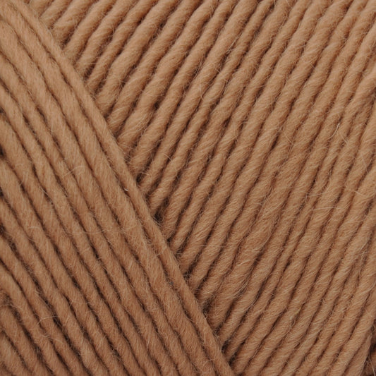 Brown Sheep Lamb's Pride yarn — 203